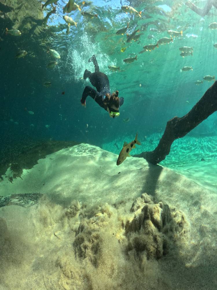 Улиткины в Бразилии - лето 2024 (обновление)