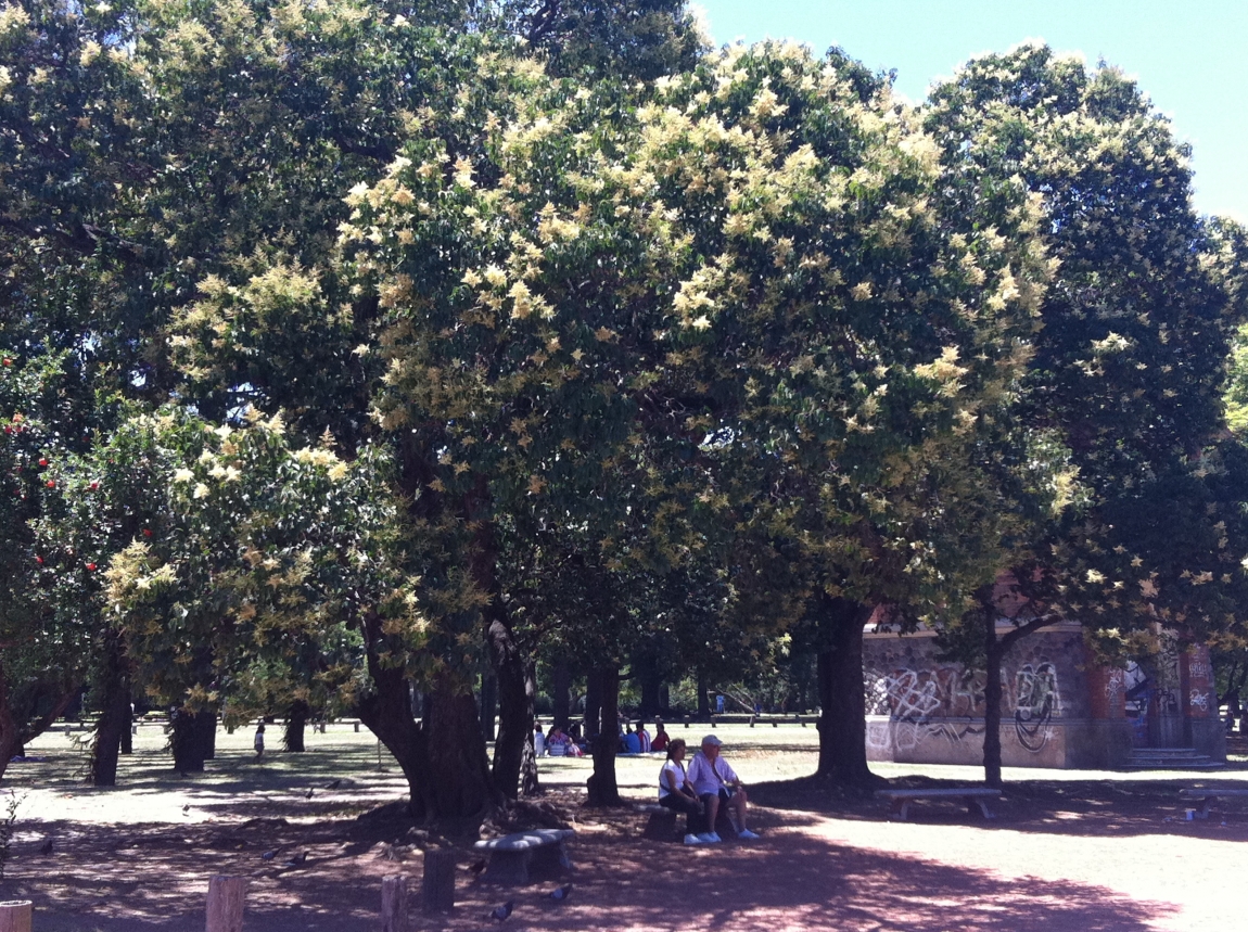 Солнечная Аргентина. Буэнос Айрес, Игуасу, Патагония, Ушуайя. Отчет с фото Солнечная Аргентина. Буэнос Айрес, Игуасу, Патагония, Ушуайя. Отчет с фото