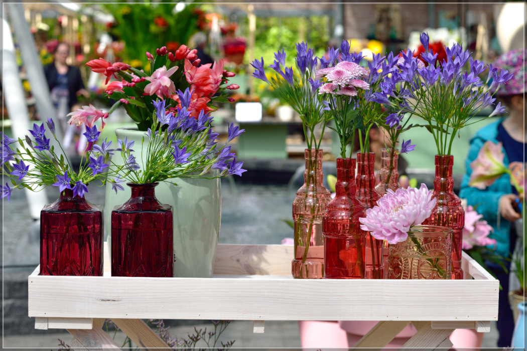 Серость ей к лицу. Майская Голландия