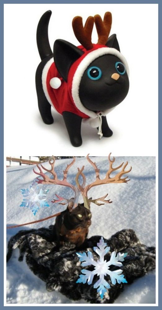 поговорим о кошках