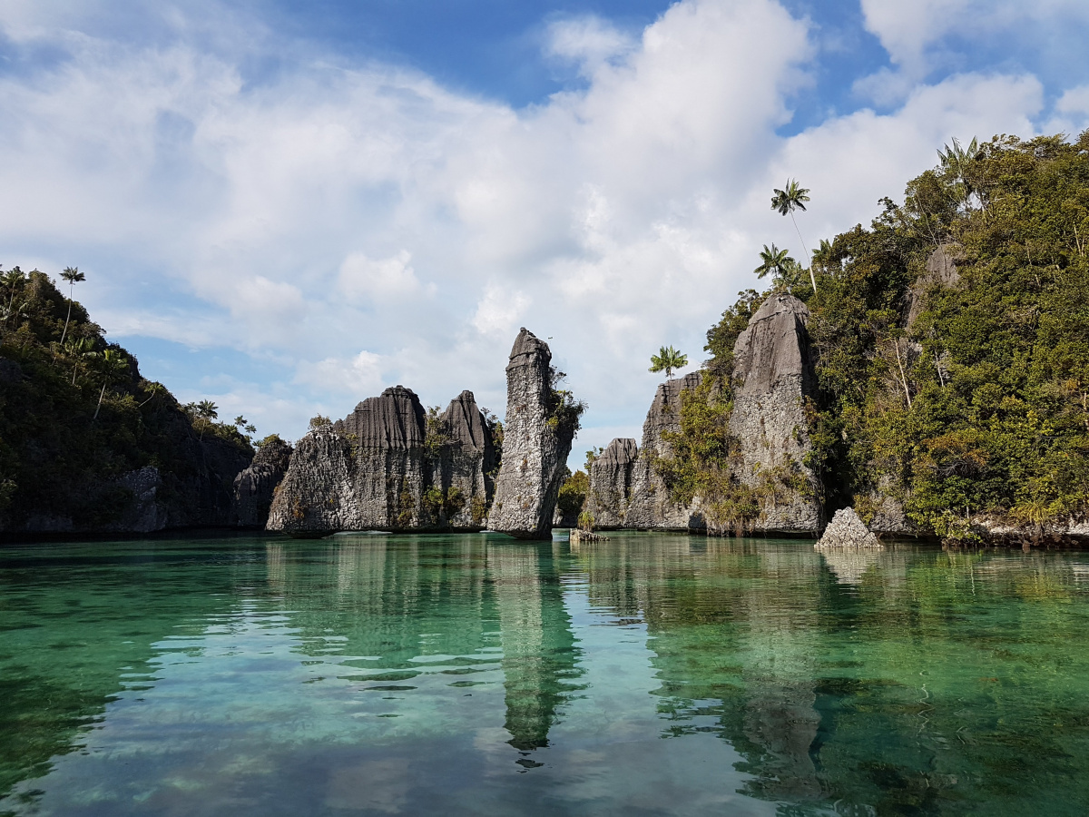 R4: Waigeo, Wayag, Manyaifun, Piaynemo, Arborek, Batanta, Misool (2017г. + 2018г. + 2019г.) R4: Waigeo, Wayag, Manyaifun, Piaynemo, Arborek, Batanta, Misool (2017г. + 2018г. + 2019г.)