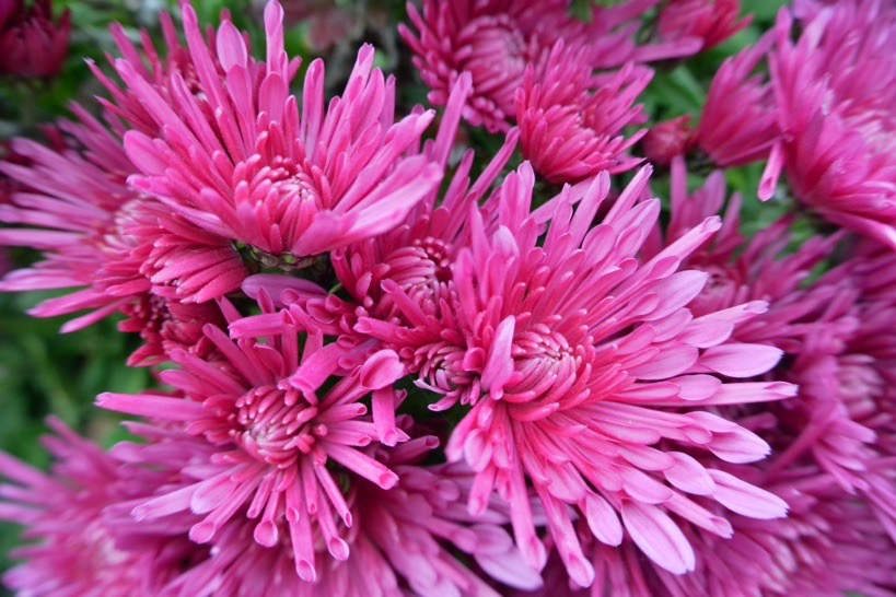 В погоне за уходящим летом или ноябрьские зарисовки южной Франции