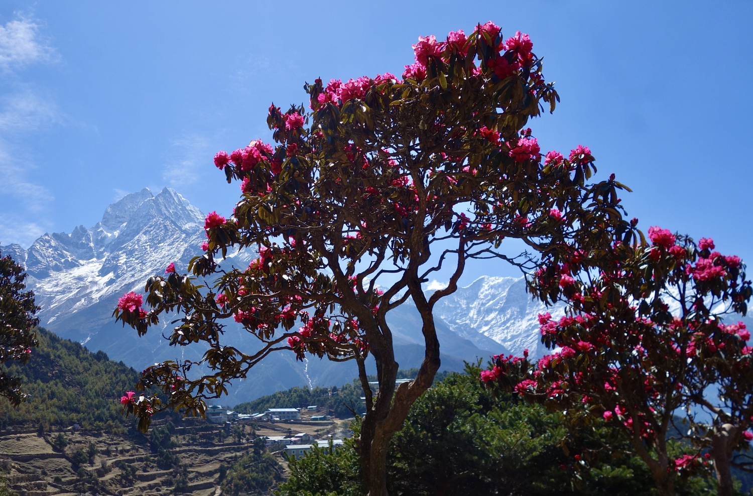 Монг трек после локдауна (ноябрь2020). Не всем трусам в Сагарматхе покоряется Чукхунг. Гокиё с локдауном под занавес (аперль-май2021). Гокиё окт.2021