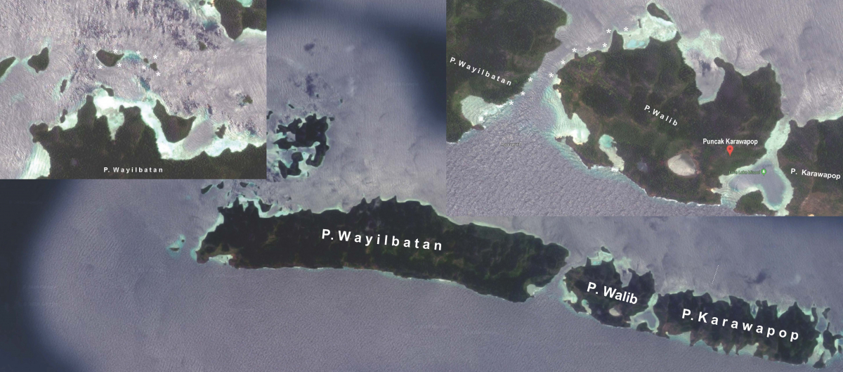 R4: Waigeo, Wayag, Manyaifun, Piaynemo, Arborek, Batanta, Misool (2017г. + 2018г. + 2019г.) R4: Waigeo, Wayag, Manyaifun, Piaynemo, Arborek, Batanta, Misool (2017г. + 2018г. + 2019г.)