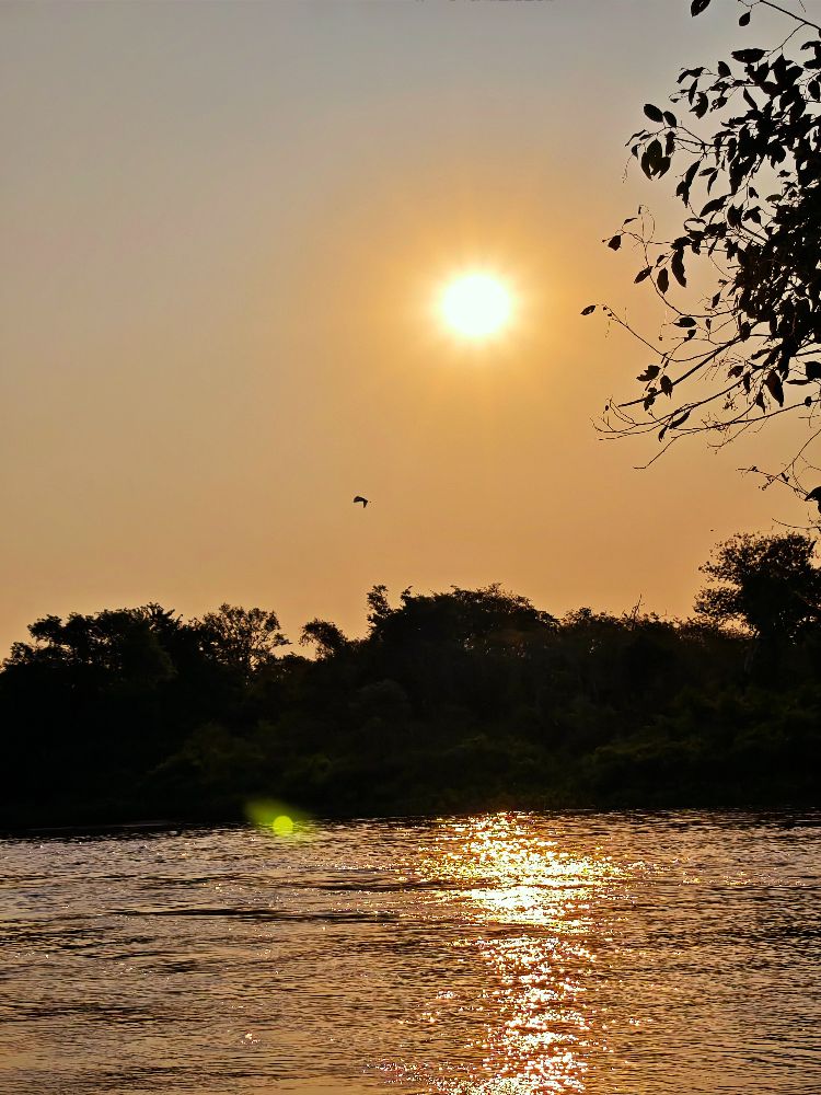 Улиткины в Бразилии - лето 2024 (обновление)