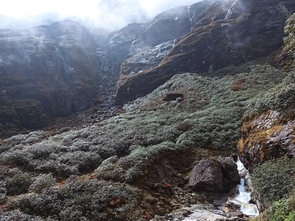 Тюлени на горе Конгде – осень 2024