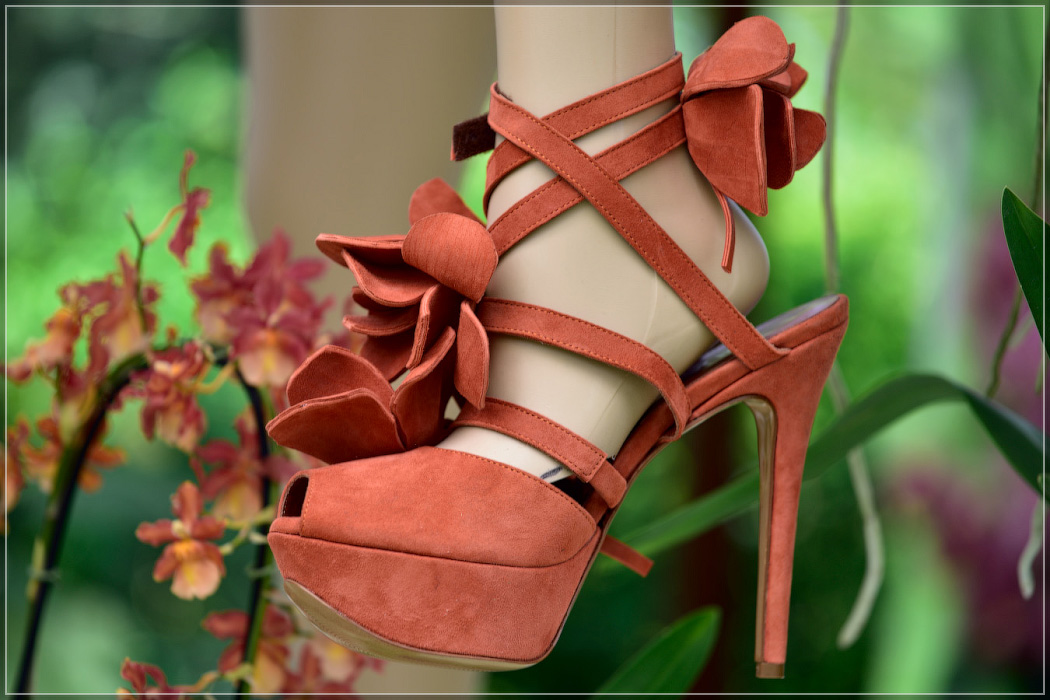 Серость ей к лицу. Майская Голландия