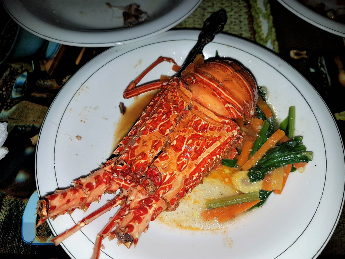 R4: Waigeo, Wayag, Manyaifun, Piaynemo, Arborek, Batanta, Misool (2017г. + 2018г. + 2019г.)